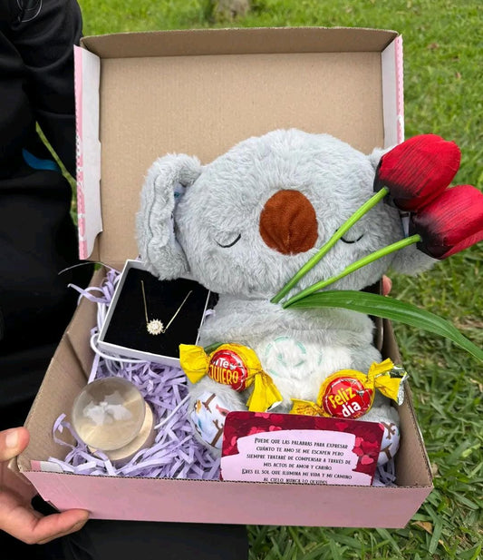 Koala que Respira de Regalo la Esfera Saturno